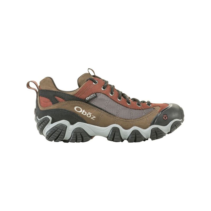 Oboz Men's Shoes Firebrand II Low Waterproof-Earth