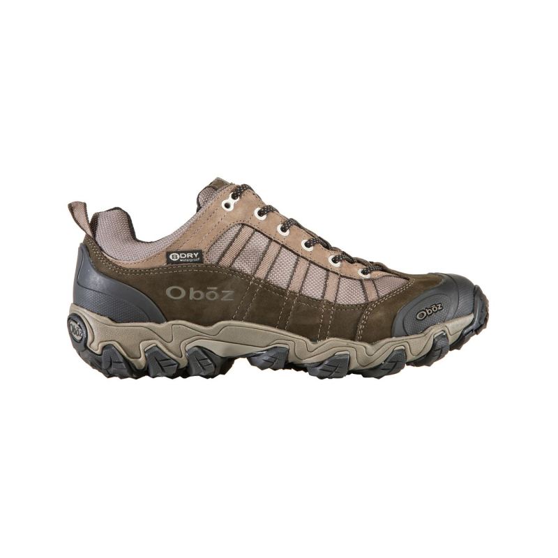 Oboz Men's Shoes Tamarack Low Waterproof-Bungee