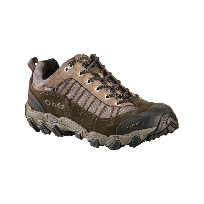 Oboz Men's Shoes Tamarack Low Waterproof-Bungee