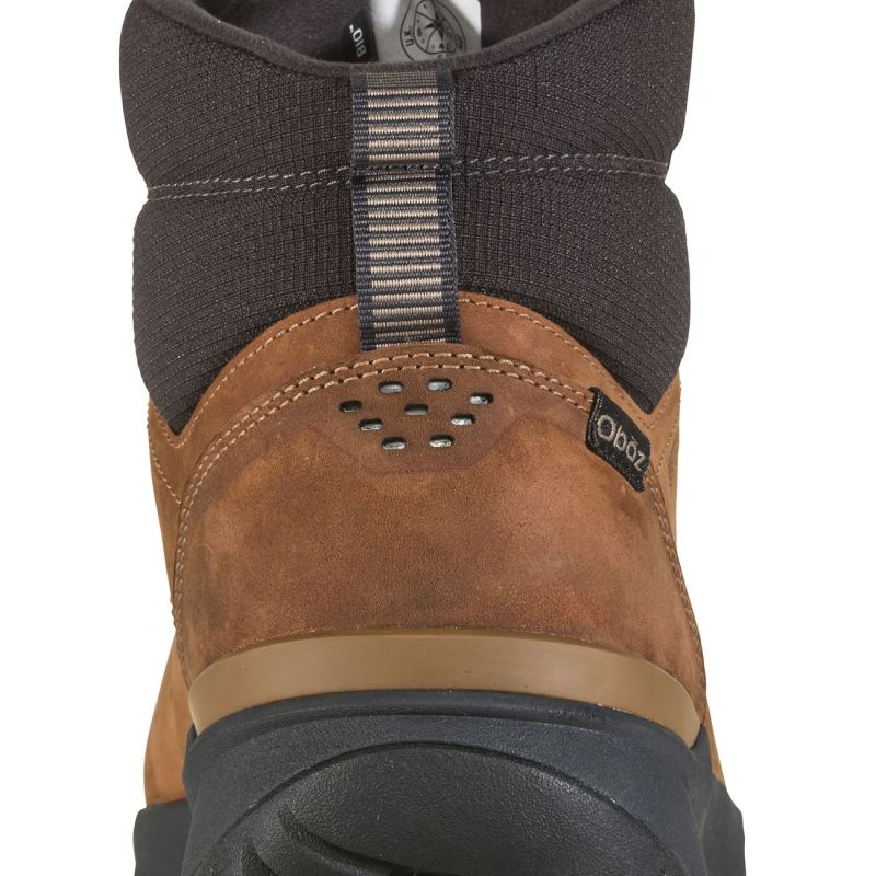 Oboz Men's Shoes Andesite Mid Insulated Waterproof-Dachshund